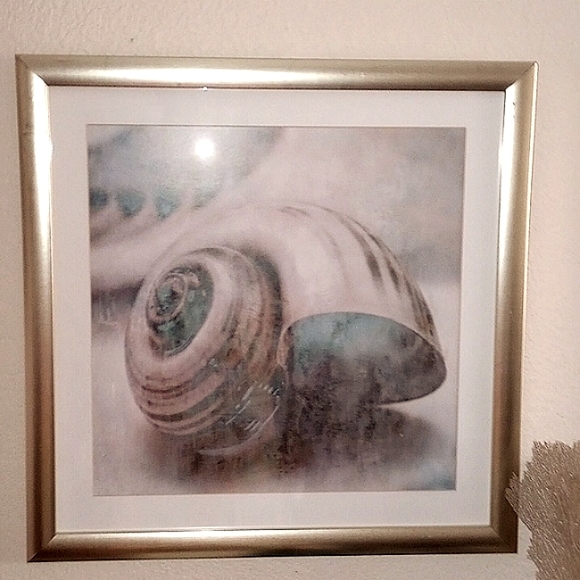 Set of 3 MAT Coastal gems prints/ John Seba . - Picture 2 of 8